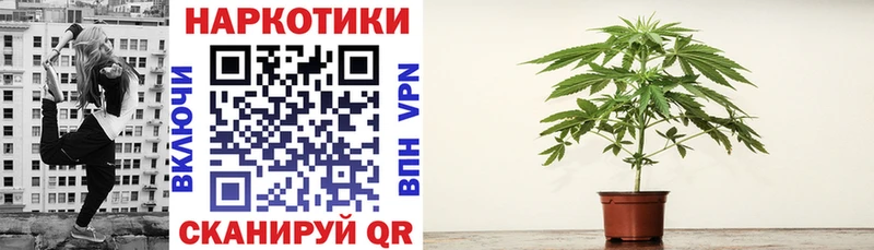 Купить наркотик Алатырь Кокаин  Меф мяу мяу  ГАШИШ  СК  Каннабис 
