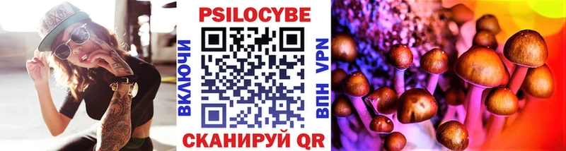 Псилоцибиновые грибы GOLDEN TEACHER  Алатырь 